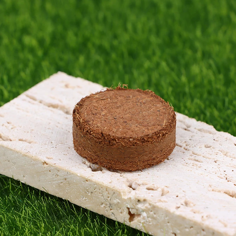 5Pcs Compressed Coco Coir Fiber Potting Soil Coir Medium Coconut Soil Coir Bricks For Indoors Or Outdoors Bonsai Herbs Supplies