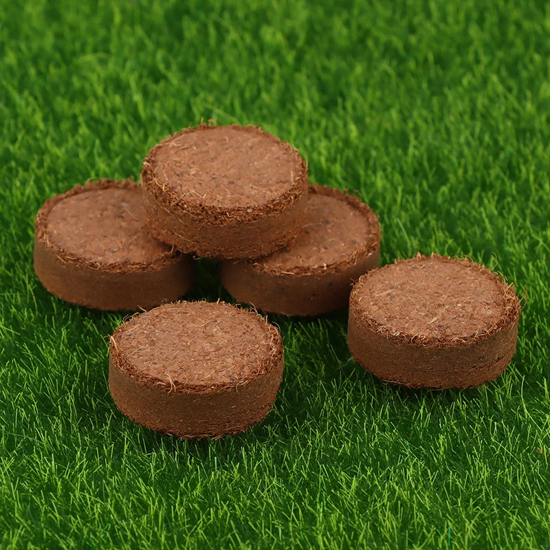 5Pcs Compressed Coco Coir Fiber Potting Soil Coir Medium Coconut Soil Coir Bricks For Indoors Or Outdoors Bonsai Herbs Supplies