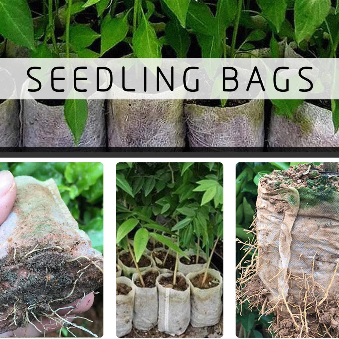 20pcs Large Size Biodegradable Non-Woven Nursery Bags Fabric Plant Seedling Bags Pots Plant Pouch Home Gardening Supply